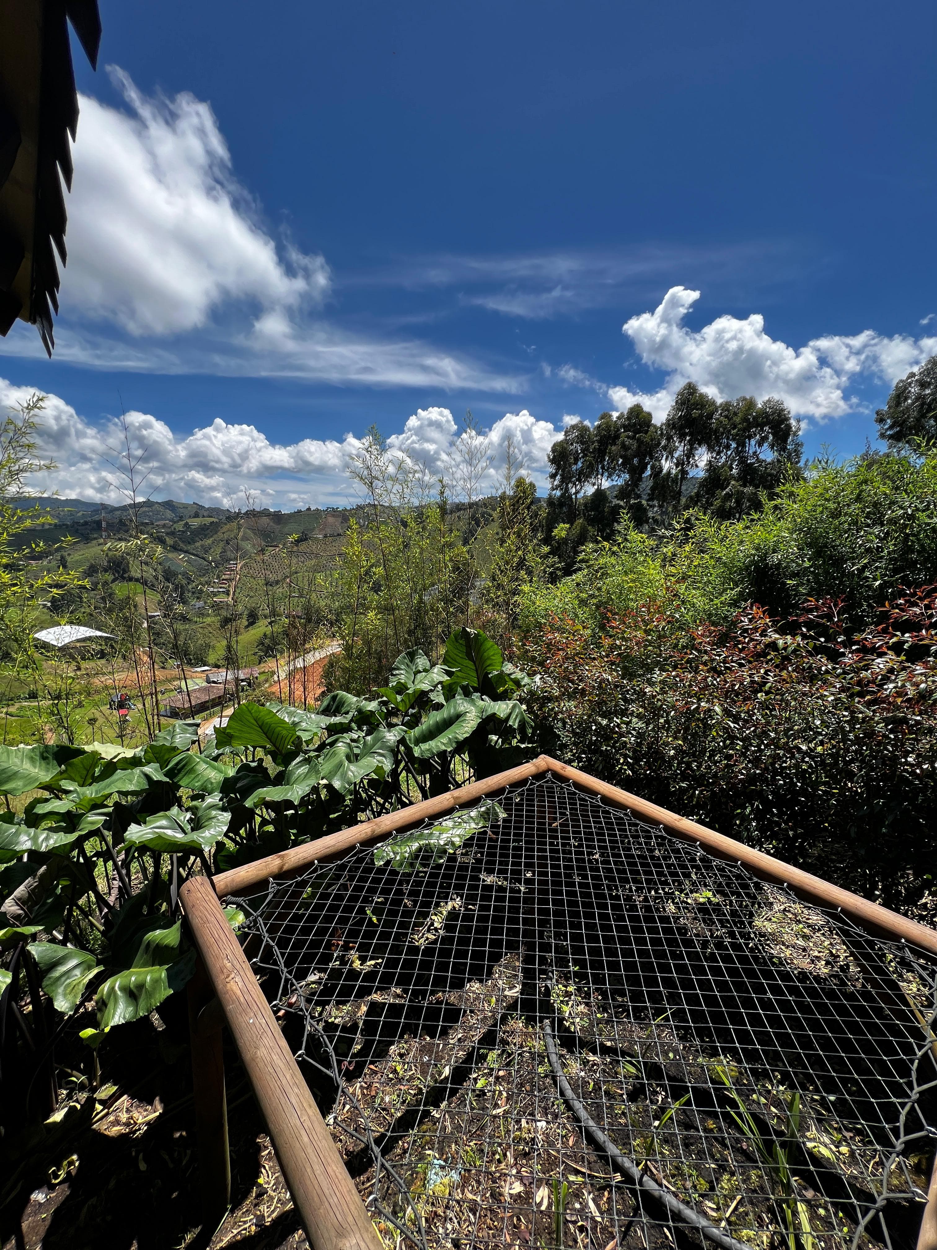 Jardín, huerta y cultivos con vista al valle